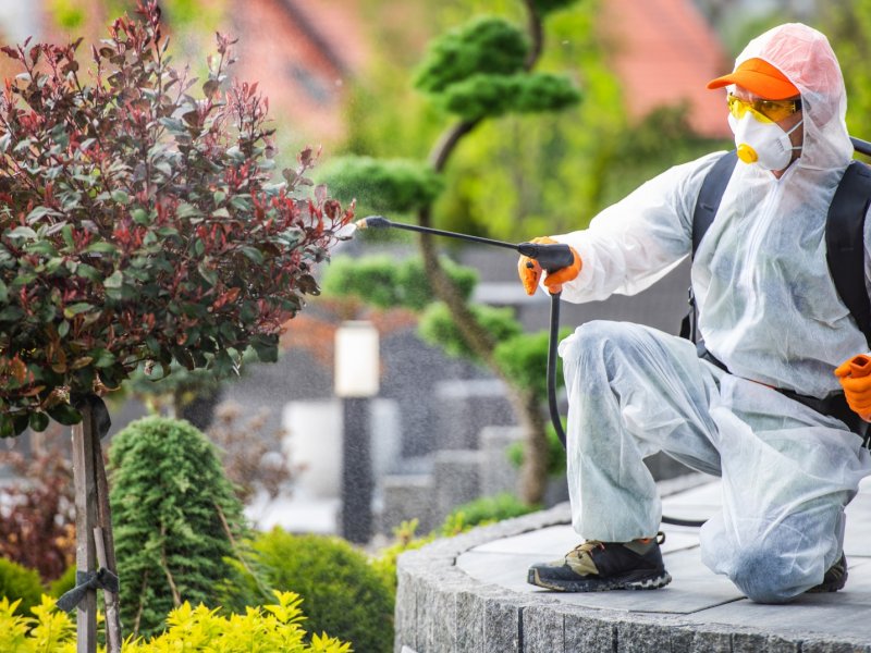 Akdeniz Haşere İlaçlama